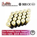 Forewell AAA Alkaline Battery Premium LR03/AAA 1.5 Volts 10PCS Paper Pack 3