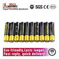 Forewell AAA Alkaline Battery Premium LR03/AAA 1.5 Volts 10PCS Paper Pack