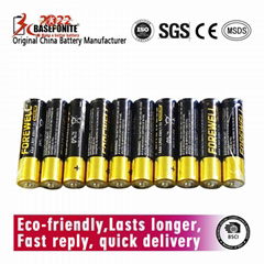 Forewell AAA Alkaline Battery Premium LR03/AAA 1.5 Volts 10PCS Paper Pack