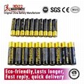 Forewell AAA Alkaline Battery Premium LR03/AAA 1.5 Volts 10PCS Paper Pack 2