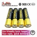 Forewell AAA Alkaline Battery Premium LR03/AAA 1.5 Volts 10PCS Paper Pack 4