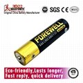 Forewell AAA Alkaline Battery Premium LR03/AAA 1.5 Volts 10PCS Paper Pack