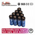 Baseponite super heavy duty 1.5Volt R6P AA batteries for industrial OEM  4