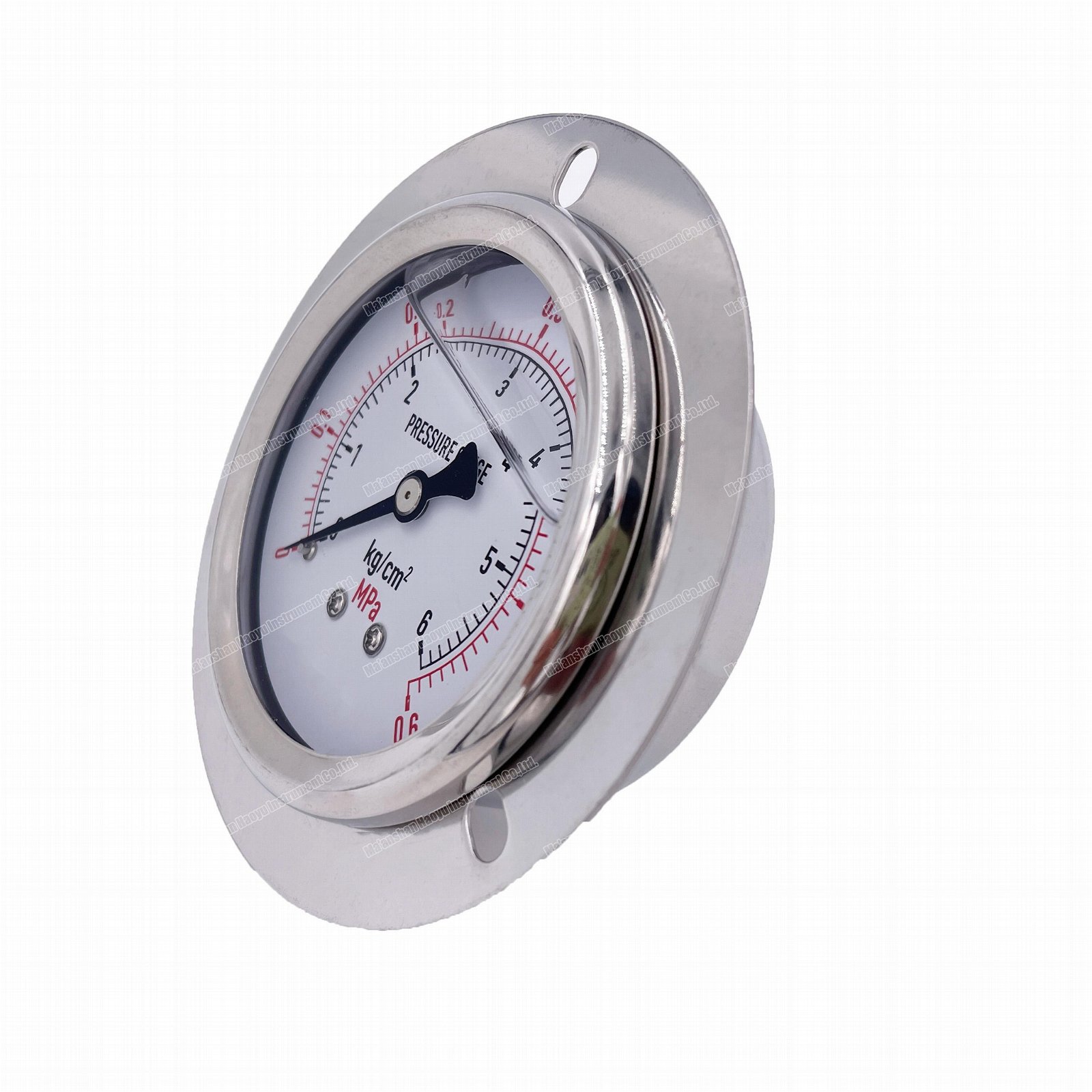 oil filled pressure gauge with flange 2