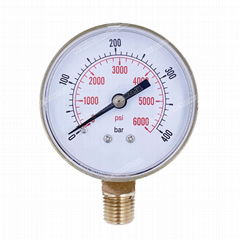 iron case pressure gauge