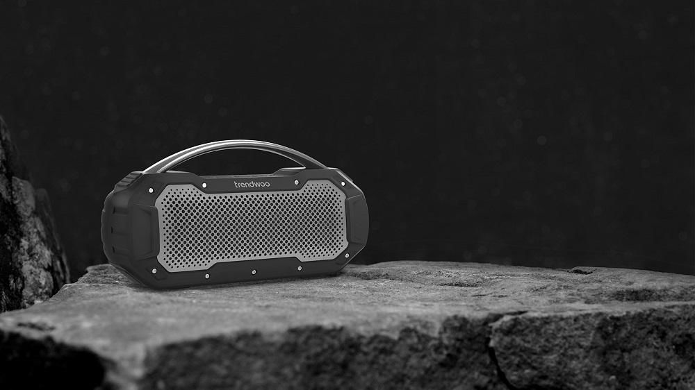 Titan-L outdoor speaker