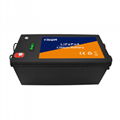 Forklift lithium Battery 2