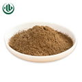 Instant Black Tea Powder 1