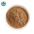 Instant Black Tea Powder