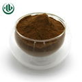 Instant Dark Tea Powder 2