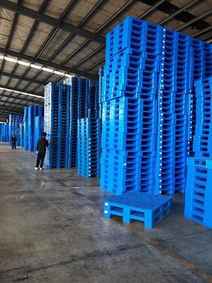 Plastic Pallet Factory with over 150 models 3