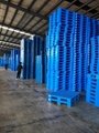 Plastic Pallet Factory with over 150 models 3