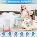 Dehumidifier for Basement