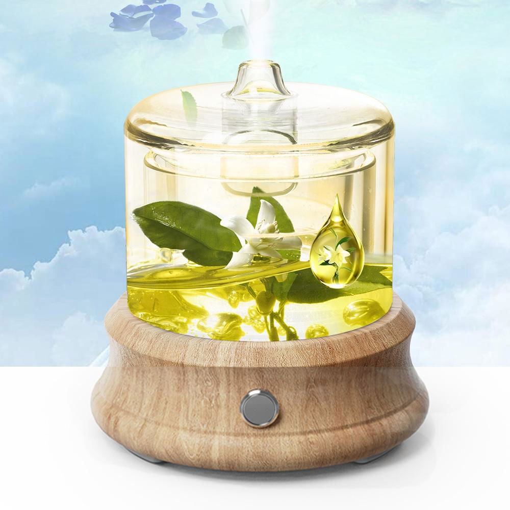 Non Plastic Oil Diffuser 2