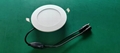LED downlight 1
