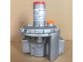 天津瑞蓋斯進口燃氣設備燃燒器穩壓閥調壓器調壓閥 1