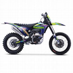 4-Stroke 300cc Dirt Bike 300cc Off Road Motorcycle Gasoline Pit Bike