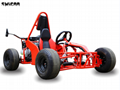 Factory Sale Electric Racing Go Kart Sports 1500w Buggy UTV Mini Electric Cart