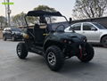 200cc UTV Electric Start Gasoline Powered UTV with Winch Trailer Ball