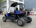 300cc UTV Go Kart Gasoline High Powered 4 Stroke UTV with 10 Inch Aluminum Wheel 2