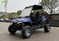 300cc UTV Go Kart Gasoline High Powered 4 Stroke UTV with 10 Inch Aluminum Wheel 4