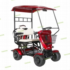 In Stock 4WD Electric Golf Cart 60V/30A Lithium Battery Mini Car