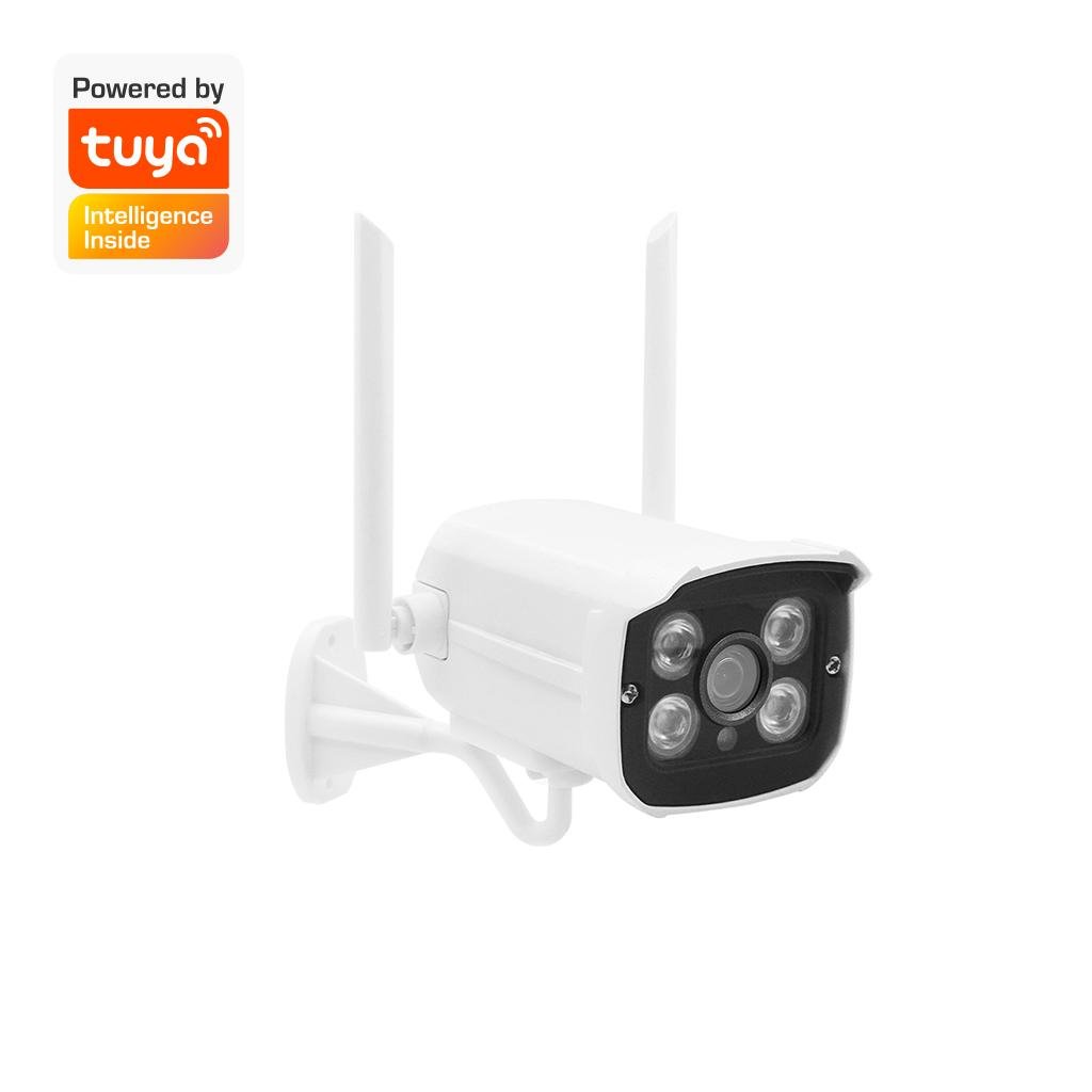 WiFi 8CH NVR Kits for Smart Home/Office/Buidling/Factory for Tuya Smart Wire 5