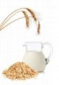Bulk oat milk powder is suitable for making RTD products