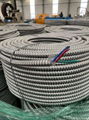 美标电缆UL铜芯电缆连锁铠装THHN尼龙护套线SER铝电缆 3