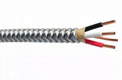 SER/SEU美标认证电缆12AWG铝芯电缆