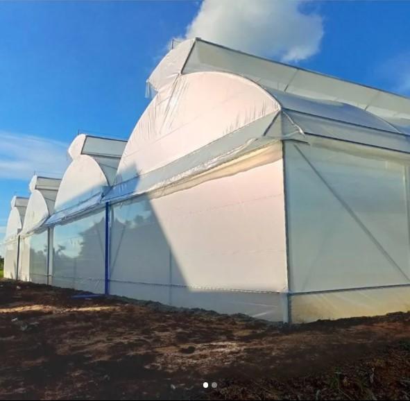 5 years UV stability greenhouse film 4