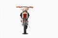 Sell Jhlmoto 250cc Dirt Bike/Motocross Motorcycle 3