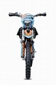 Sell JHL 250cc Dirt Bike/Enduro Motorcycle