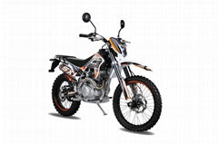 Sell JHL 150cc Dirt Bike/Enduro Motorcycle