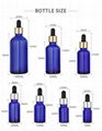 5ml round shoulder dropper stock solution bottle spot essence liquid glass sampl 2