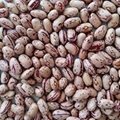 Light Speckled Kidney Beans /Pinto Beans/Sugar Beans 1