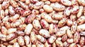 Light Speckled Kidney Beans /Pinto Beans/Sugar Beans 2