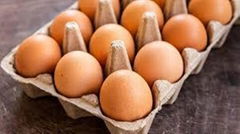 FRESH Brown and White Healthy Table Eggs For Sale