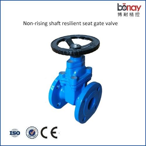 DIN3352 F4 Pn16 Resilient Seated Flange /Wafer Type Cast Iron Water Gate Valve 2