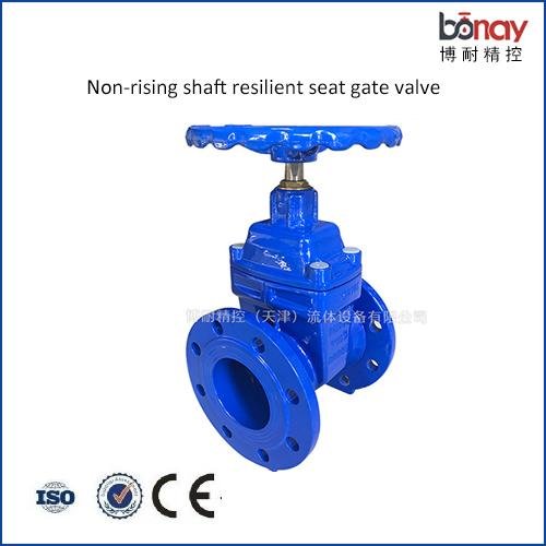 DIN3352 F4 Pn16 Resilient Seated Flange /Wafer Type Cast Iron Water Gate Valve 3