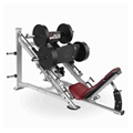 leg press gym e