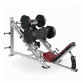 leg press gym equipment腿部训练器出口俄罗斯 1