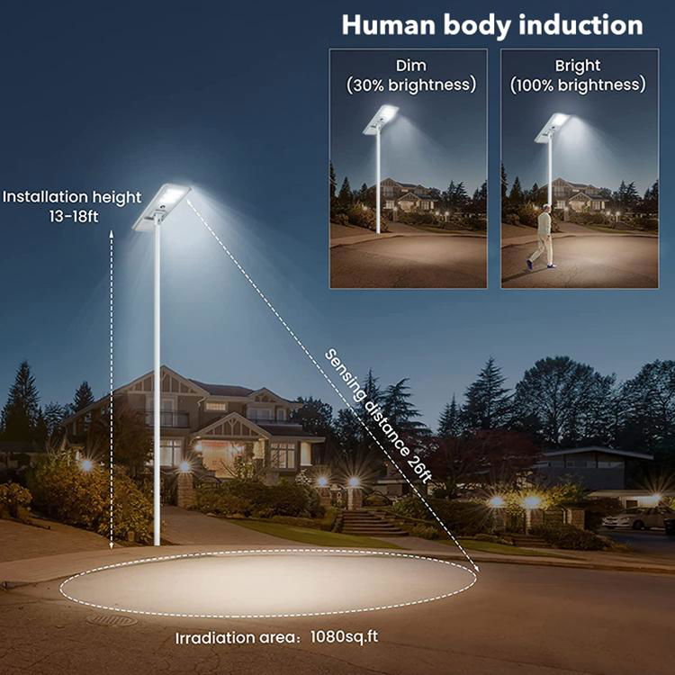 Project Type All In One Solar Street Lights 2