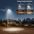 Project Type All In One Solar Street Lights 2