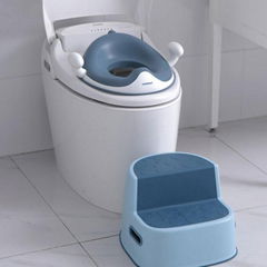 Baby Potty Seat