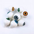 Round Plastic Acrylic Doll Eyes Eyeballs