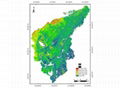 SATELLITE REMOTE SENSING IN AGRICULTURE 1