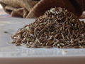 Cumin Seeds 2