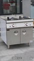 stainless steel desktop fryers and  gas  deep fryers 