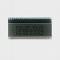 Character LCD MODULE ,132*320 dots 1